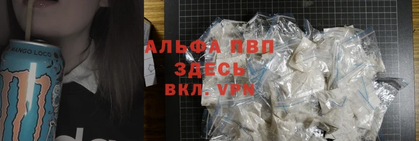 сатива Верея