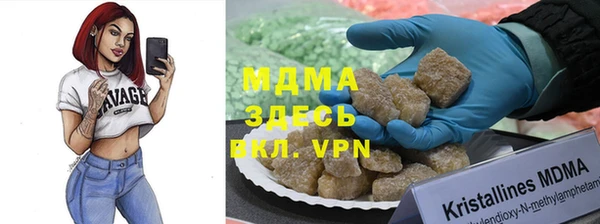 сатива Верея