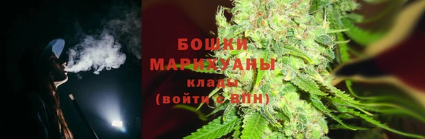 сатива Верея