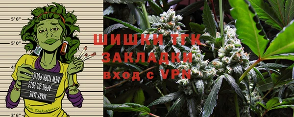 сатива Верея