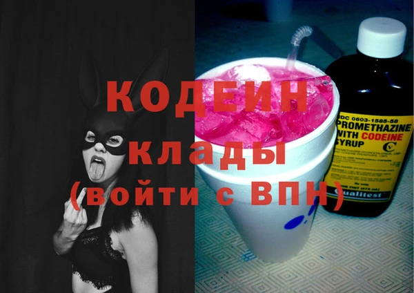 сатива Верея
