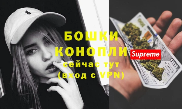 сатива Верея
