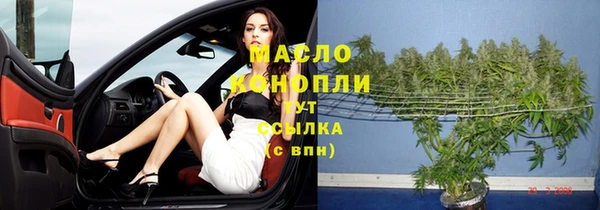 сатива Верея