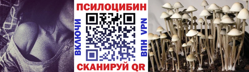 Галлюциногенные грибы GOLDEN TEACHER Таштагол